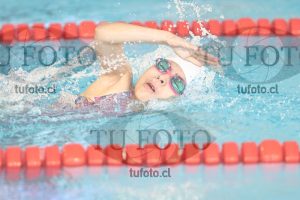 Image 1 libre D 00208