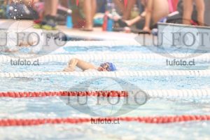 Image 1 libre D 00211