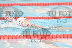 Image 1 libre D 00212