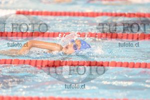 Image 1 libre D 00213