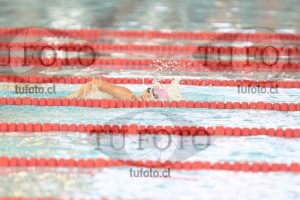 Image 1 libre D 00214