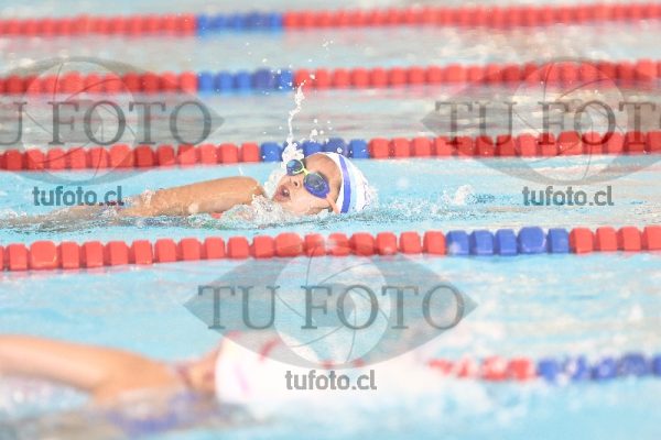 Image 1 libre D 00216
