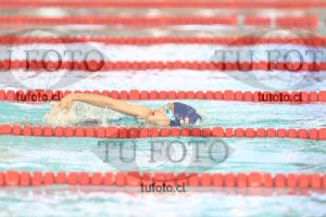 Image 1 libre D 00217