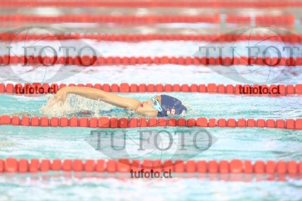 Image 1 libre D 00217