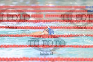 Image 1 libre D 00219
