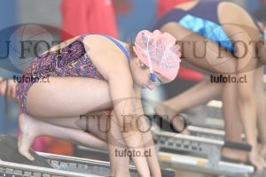 Image 1 libre D 00238