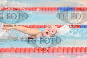 Image 1 libre D 00240