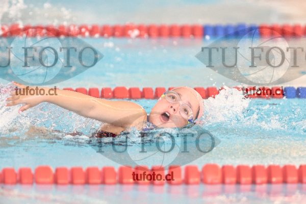 Image 1 libre D 00240