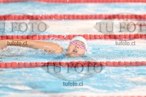 Image 1 libre D 00241