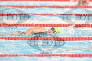 Image 1 libre D 00242