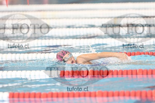 Image 1 libre D 00243