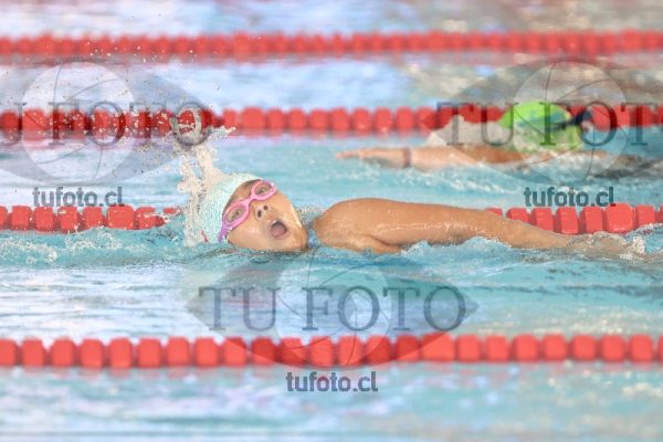 Image 1 libre D 00246