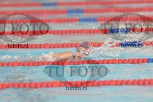Image 1 libre D 00247