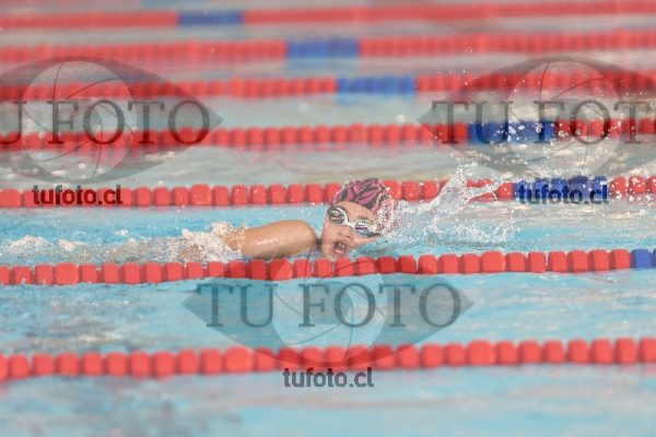 Image 1 libre D 00247