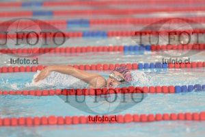 Image 1 libre D 00248