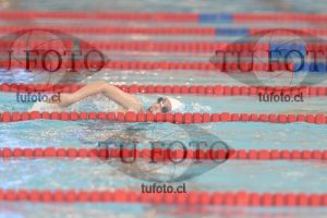 Image 1 libre D 00249