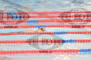 Image 1 libre D 00252