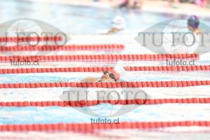 Image 1 libre D 00253