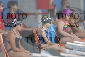 Image 1 libre D 00260