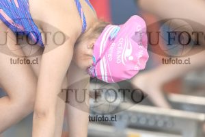 Image 1 libre D 00264