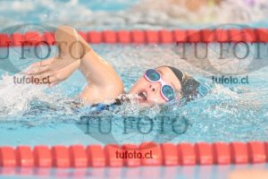 Image 1 libre D 00271