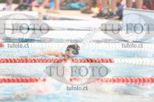 Image 1 libre D 00272