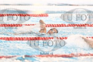 Image 1 libre D 00273