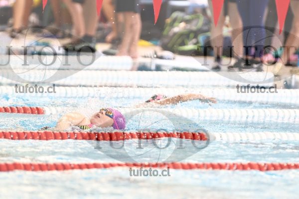 Image 1 libre D 00274