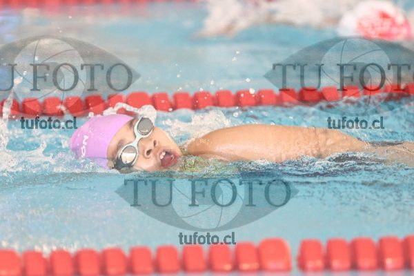 Image 1 libre D 00275