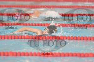 Image 1 libre D 00276