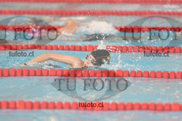Image 1 libre D 00276