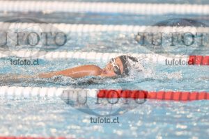 Image 1 libre D 00277