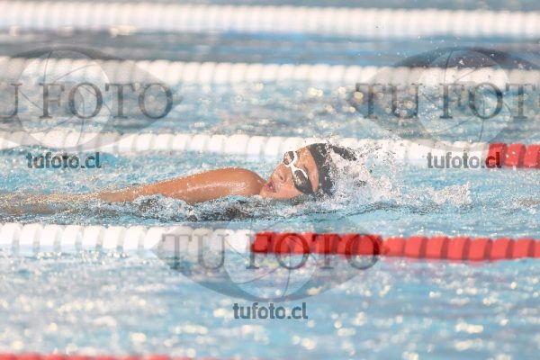 Image 1 libre D 00277