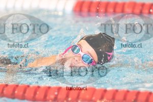 Image 1 libre D 00278