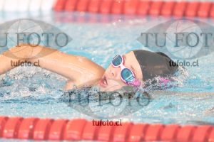 Image 1 libre D 00279