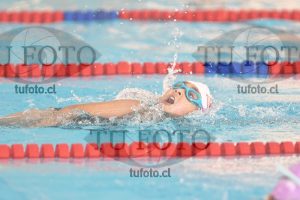 Image 1 libre D 00281