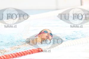 Image 1 libre D 00284