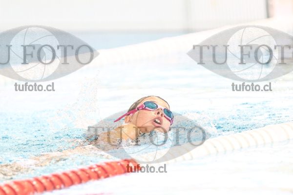Image 1 libre D 00284