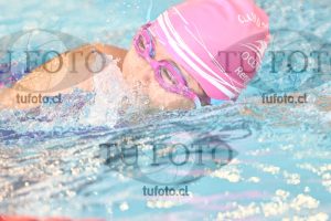 Image 1 libre D 00285
