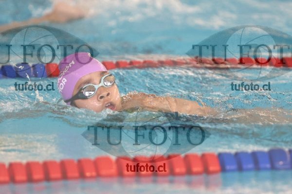 Image 1 libre D 00287