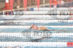 Image 1 libre D 00289