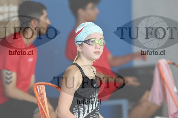 Image 1 libre D 00290
