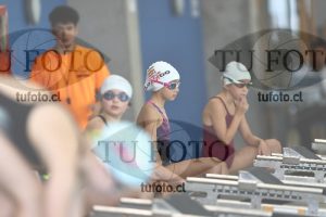 Image 1 libre D 00295