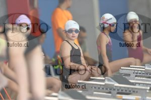 Image 1 libre D 00296