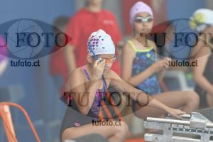Image 1 libre D 00298
