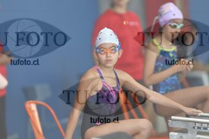 Image 1 libre D 00299