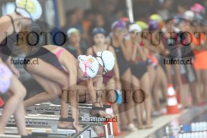Image 1 libre D 00303