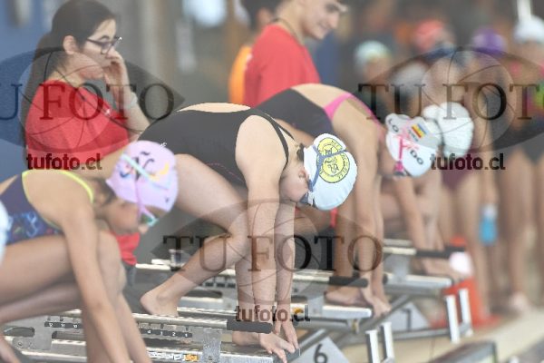 Image 1 libre D 00306