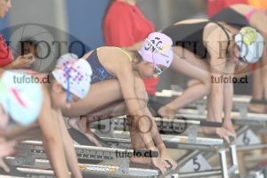 Image 1 libre D 00307