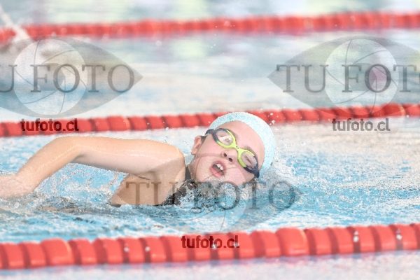 Image 1 libre D 00311